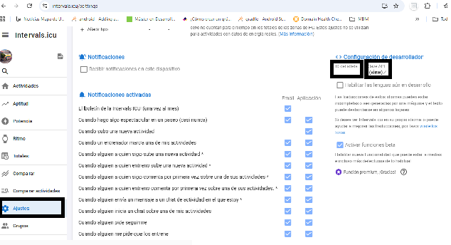 Configuración en Intervals.icu